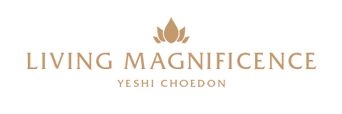 LivingMagnificence.com