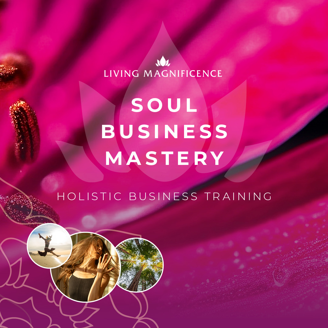 Soul of Business